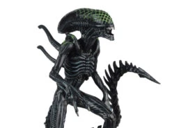 Alien & Predator Figurine Collection Grid Xenomorph -Go Figure Collectables Sales 0e9d27c5 8c3d 4051 b031 36dd27d5e9d6 jpg 62999666343ae