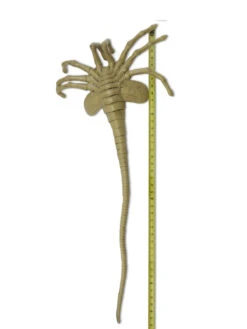 NECA Alien Facehugger 1:1 Scale Life-Size Prop Replica [Pre Order] -Go Figure Collectables Sales 2 jpg 645af4bdcca13