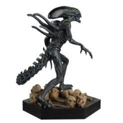 Alien & Predator Figurine Collection Grid Xenomorph -Go Figure Collectables Sales 4abcd6a2 49d2 4ea7 b9d6 9dbd6eb013f7 jpg 6299965f71a27