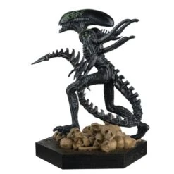 Alien & Predator Figurine Collection Grid Xenomorph -Go Figure Collectables Sales 545684e4 c049 437b a245 abd8d2b5fc3c jpg 629996619cd9a