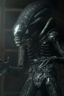 NECA Alien 40th Anniversary Big Chap Ultimate 7" Scale Action Figure -Go Figure Collectables Sales dusty jpge jpg 63f0138f3e1be