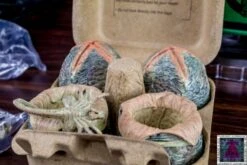 NECA Alien LV-426 Cage-Free Eggs Glow In The Dark Lootcrate Exclusive 4 Pack 12 NECA Alien LV-426 Cage-Free Eggs Glow In The Dark Lootcrate Exclusive 4 Pack -Go Figure Collectables Sales farm copy jpg 62f4d4179a7d5