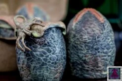 NECA Alien LV-426 Cage-Free Eggs Glow In The Dark Lootcrate Exclusive 4 Pack 10 NECA Alien LV-426 Cage-Free Eggs Glow In The Dark Lootcrate Exclusive 4 Pack -Go Figure Collectables Sales hp jpg 62f4d41bc73d9