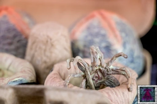 NECA Alien LV-426 Cage-Free Eggs Glow In The Dark Lootcrate Exclusive 4 Pack 2 NECA Alien LV-426 Cage-Free Eggs Glow In The Dark Lootcrate Exclusive 4 Pack - Image 2