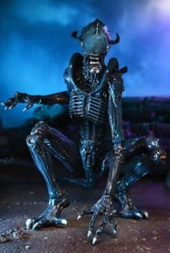 NECA Aliens Vs Predator Arachnoid Xenomorph Alien 7" Action Figure 11 NECA Aliens Vs Predator Arachnoid Xenomorph Alien 7" Action Figure -Go Figure Collectables Sales mando1 jpg 63f010af34654