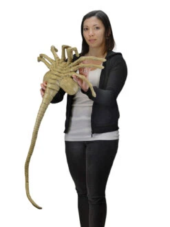 NECA Alien Facehugger 1:1 Scale Life-Size Prop Replica [Pre Order]