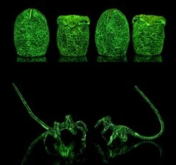 NECA Alien LV-426 Cage-Free Eggs Glow In The Dark Lootcrate Exclusive 4 Pack 13 NECA Alien LV-426 Cage-Free Eggs Glow In The Dark Lootcrate Exclusive 4 Pack -Go Figure Collectables Sales oriental background 120288 cleanup jpg 62f4d537674b0