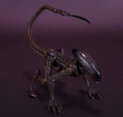 NECA Aliens Fireteam Elite Runner Alien 7" Action Figure -Go Figure Collectables Sales shop rent 104 jan copy jpg 63f03abf946be