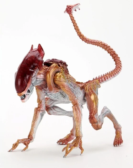 NECA Aliens Panther Alien Kenner Tribute 7" Action Figure 1 NECA Aliens Panther Alien Kenner Tribute 7" Action Figure