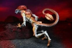 NECA Aliens Panther Alien Kenner Tribute 7" Action Figure 11 NECA Aliens Panther Alien Kenner Tribute 7" Action Figure -Go Figure Collectables Sales sssff jpg 64d1da3a1f901