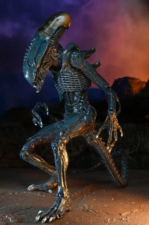 NECA Aliens Vs Predator Arachnoid Xenomorph Alien 7" Action Figure 3 NECA Aliens Vs Predator Arachnoid Xenomorph Alien 7" Action Figure - Image 3
